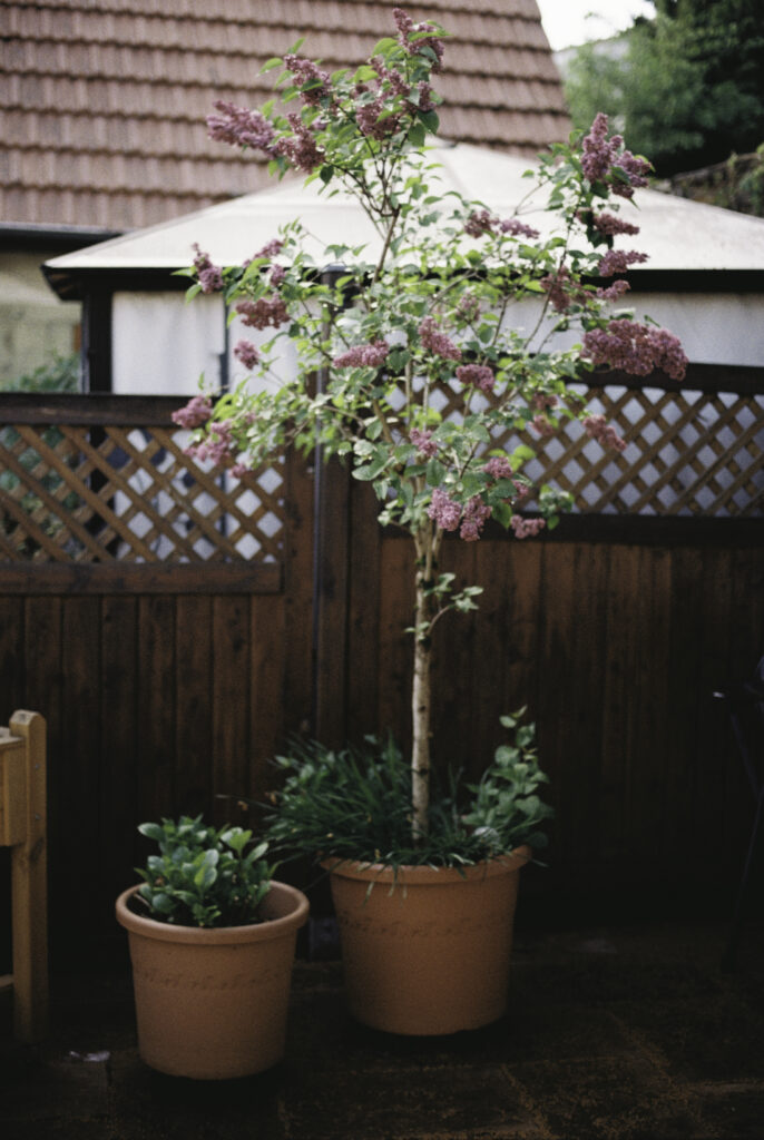 Image gallery image